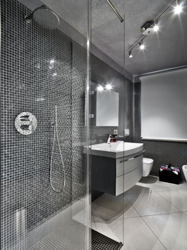 Elegant Shower with Modern Fixtures